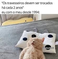 Travesseiros novos da Zelo